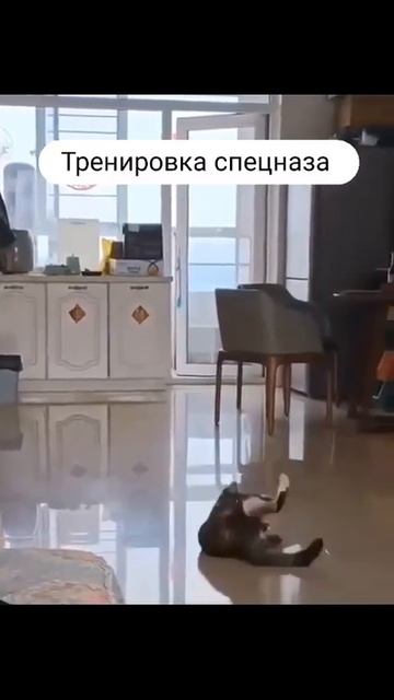 Спецназ на тренировке😂