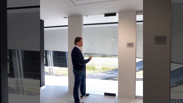 Glass pivot door system