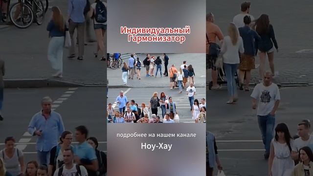 Рилс Индивидуальный гармонизатор