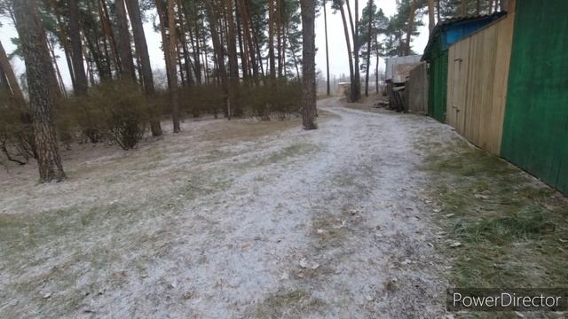 Когда менять резину на авто.