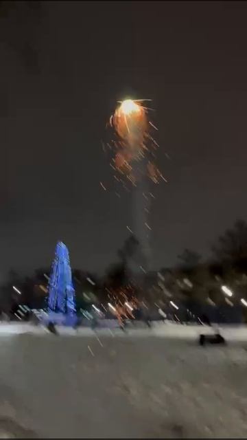 Супер бабочка