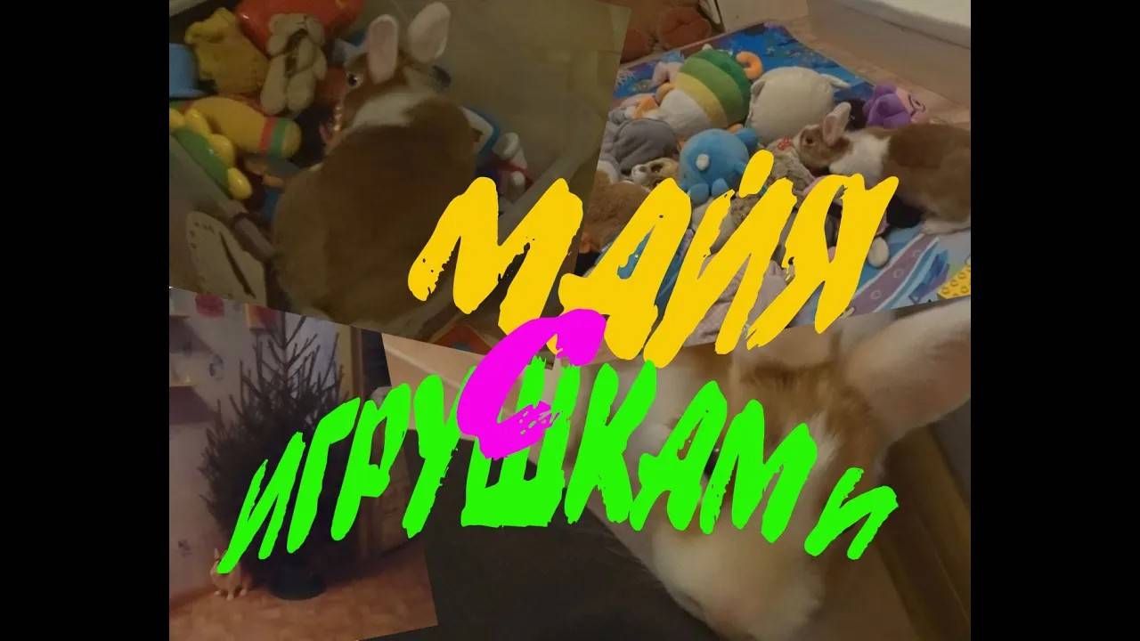 Кролик Майя с игрушками