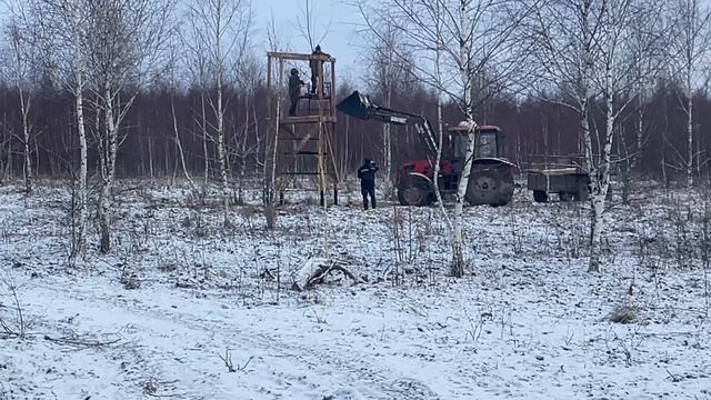 23-01-2025 Охота с вышки