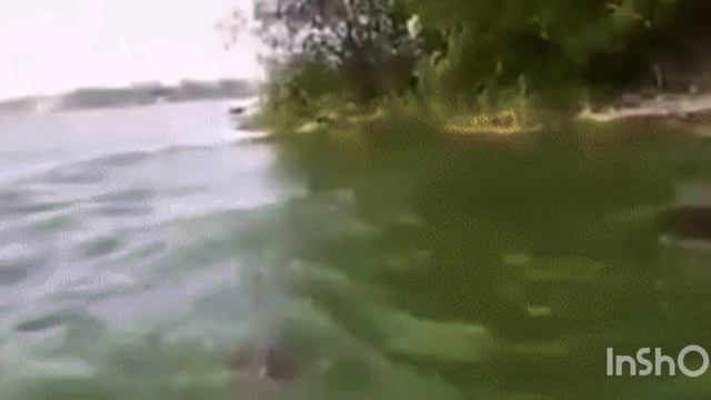 О, сколько нам открытий чудных-не помешало бы закрыть