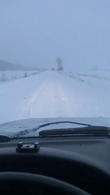 Путь самурая в туманных сумерках. #jimny #ジムニー #snow #offroad #winter #wildlife #suzuki