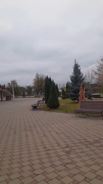 Video.Guru_20250123_200637368