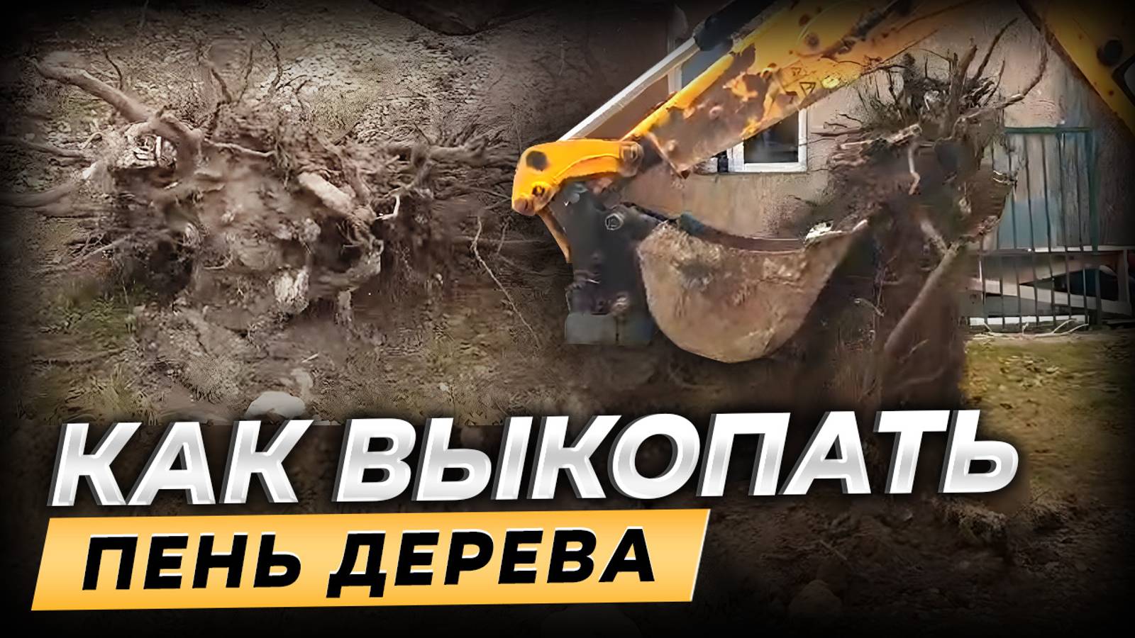 Как быстро убрать пень от яблони на дачном участке