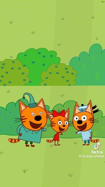 три 🐱😺🐈