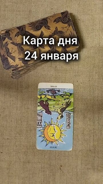 Карта дня 24 января