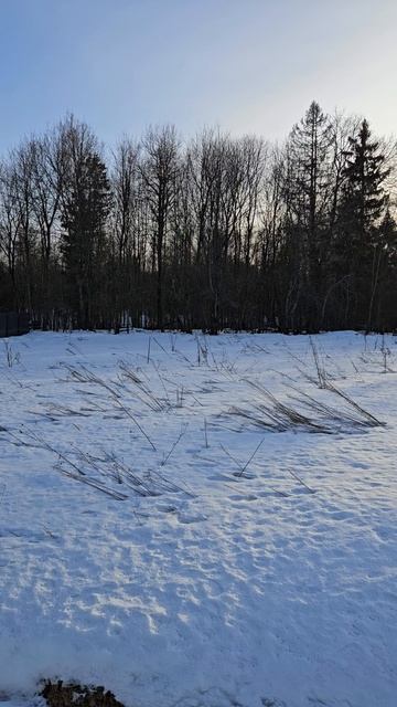 Участок №76 в Нордик1