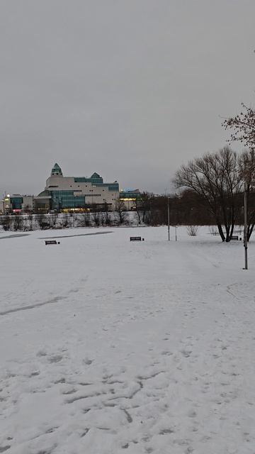 г.Тверь 23.01.25 ⏰9:00, -2° ☁️☔
