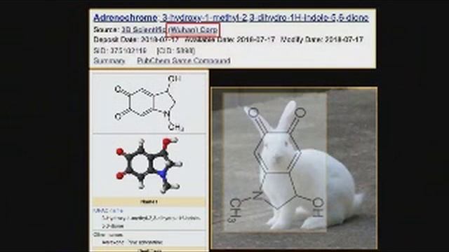 Потереная история плоской земли. 7 часть