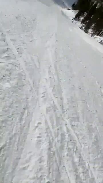 Покатуха 3