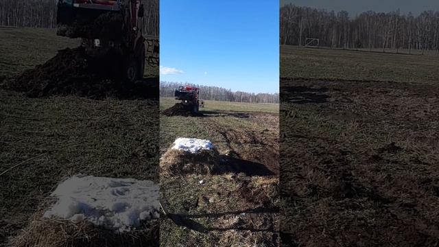 донг фенг