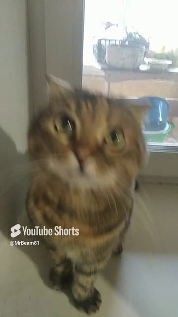 Нам девочкам.mp4