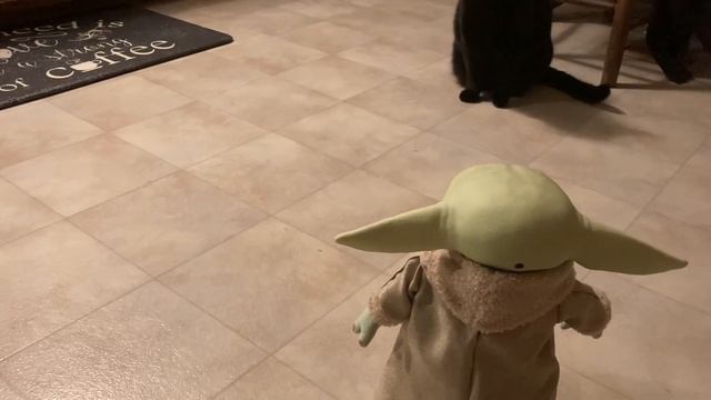 Testing out the remote control Grogu (aka) Baby Yoda and my cats.  Circa January 2021