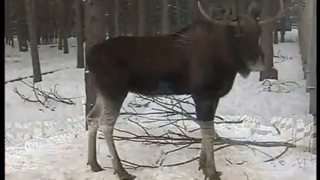 Пешком по Беларуси