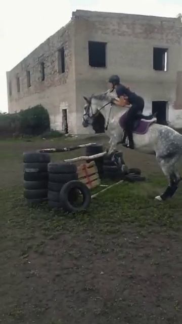 Лошади
