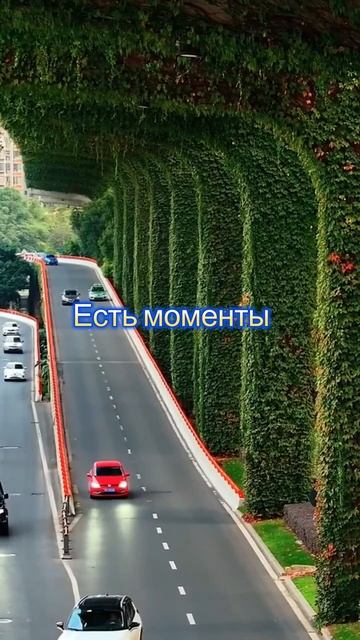 Есть поступки