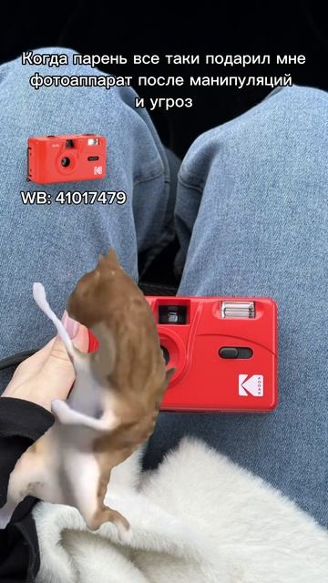 Многоразовый пленочный фотоаппарат Kodak M35 Красный WB 41017479 ❤️