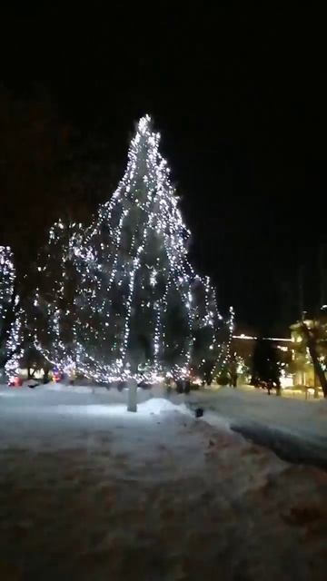Новогодние огни
