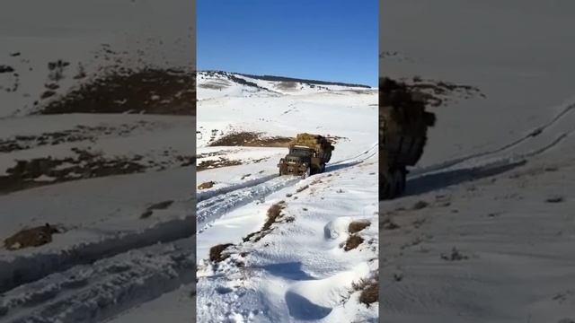ВЕЗУ