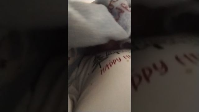 Домер опять пришёл ко мне
