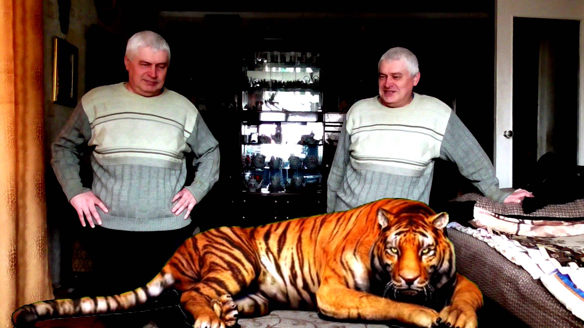 Братья близнецы и тигр. Это видеомонтаж