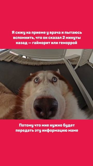 На самом деле я ничего не понял 🌚