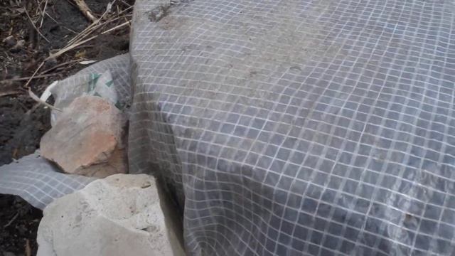 Примитивные технологии Своя рассада из покрышки