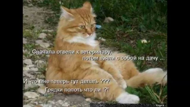 03 Еврейские анекдоты