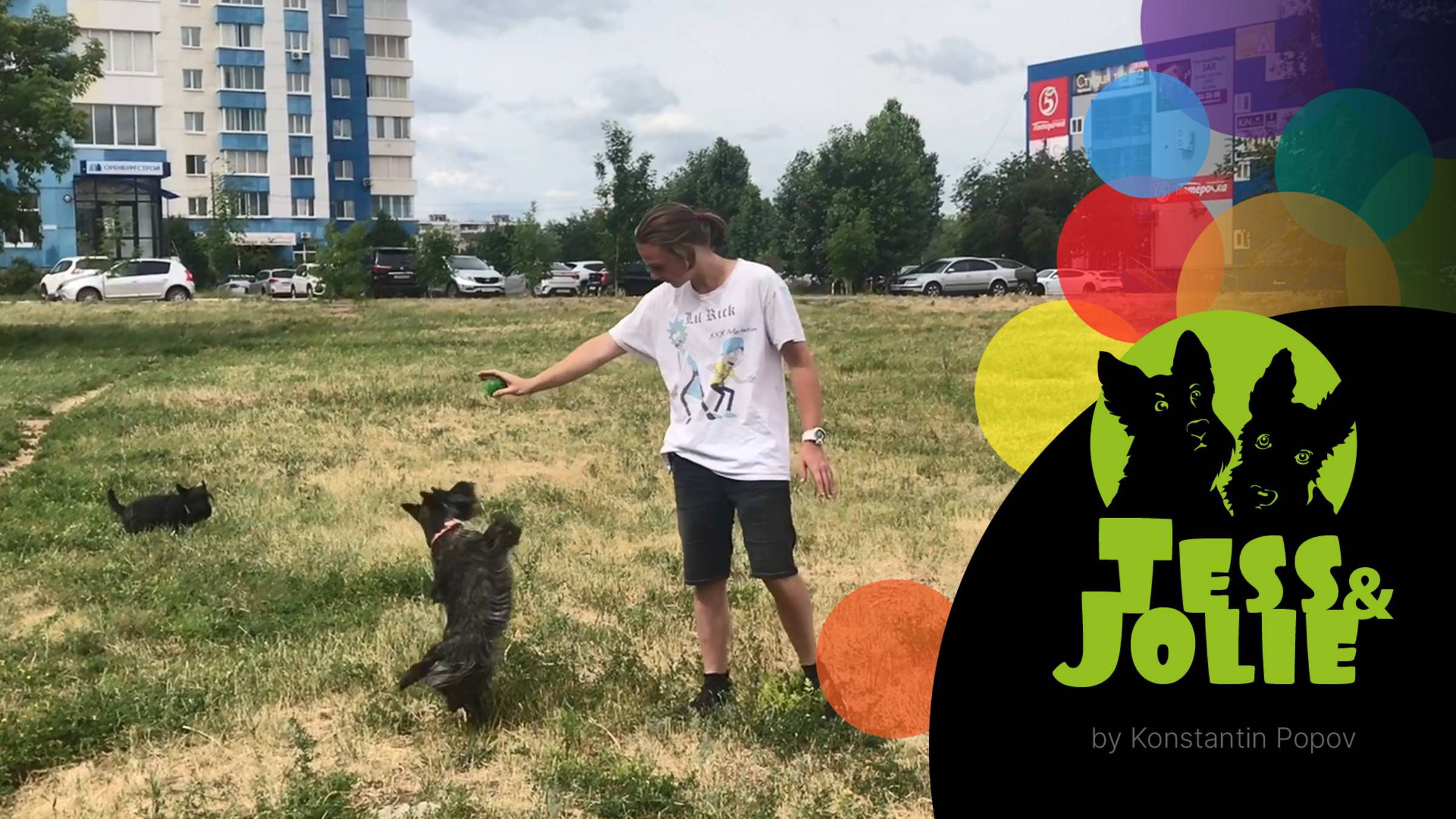 Оренбургская тарантелла: от кане-корсо до скотч-терьера