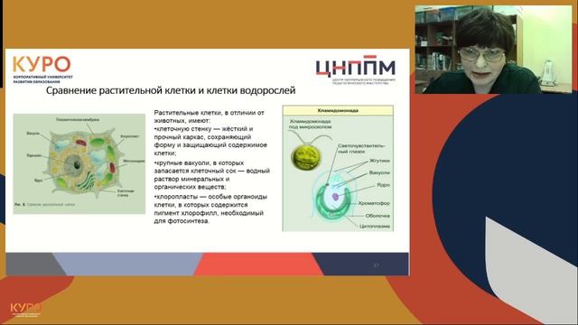 Формирование на уроках биологии умения различать и описывать экземпляры растений, грибы, бактерии.