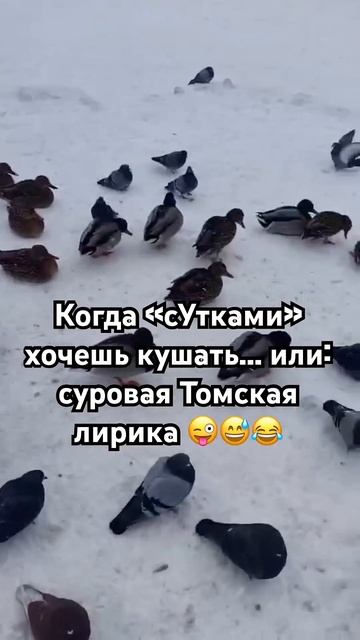 И смех, и грех! Небыло бы так смешно, если бы не было так грустно  #сибирь #реальнаяжизнь #выжить