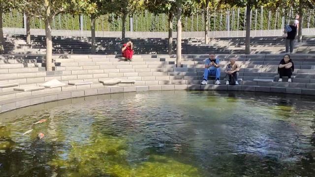 Краснодар Парк Галицкого фонтаны 1