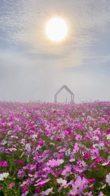 Would you like to have lunch in such a place?💐😍 #Flowers