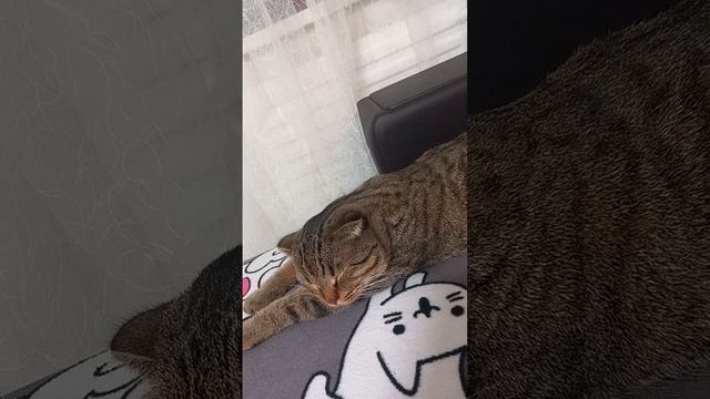 как сделать себя счастливым?