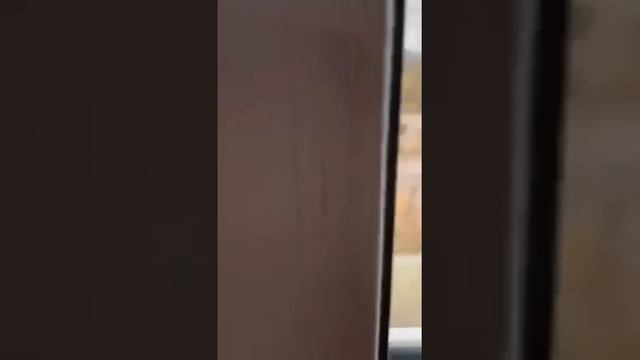 Охота на людей загоном на Украине.