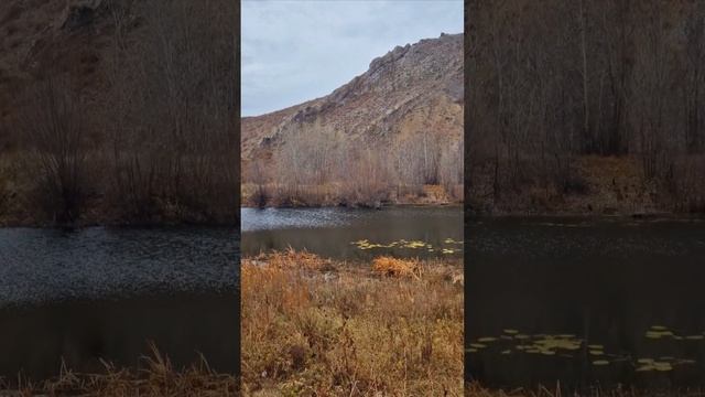 1000256789.mp4