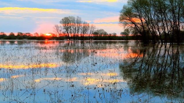 ОХ СГИНУЛИ БЫ ВЫ МУЖИЧКИ ка бы НЕ ВНУЧЁК