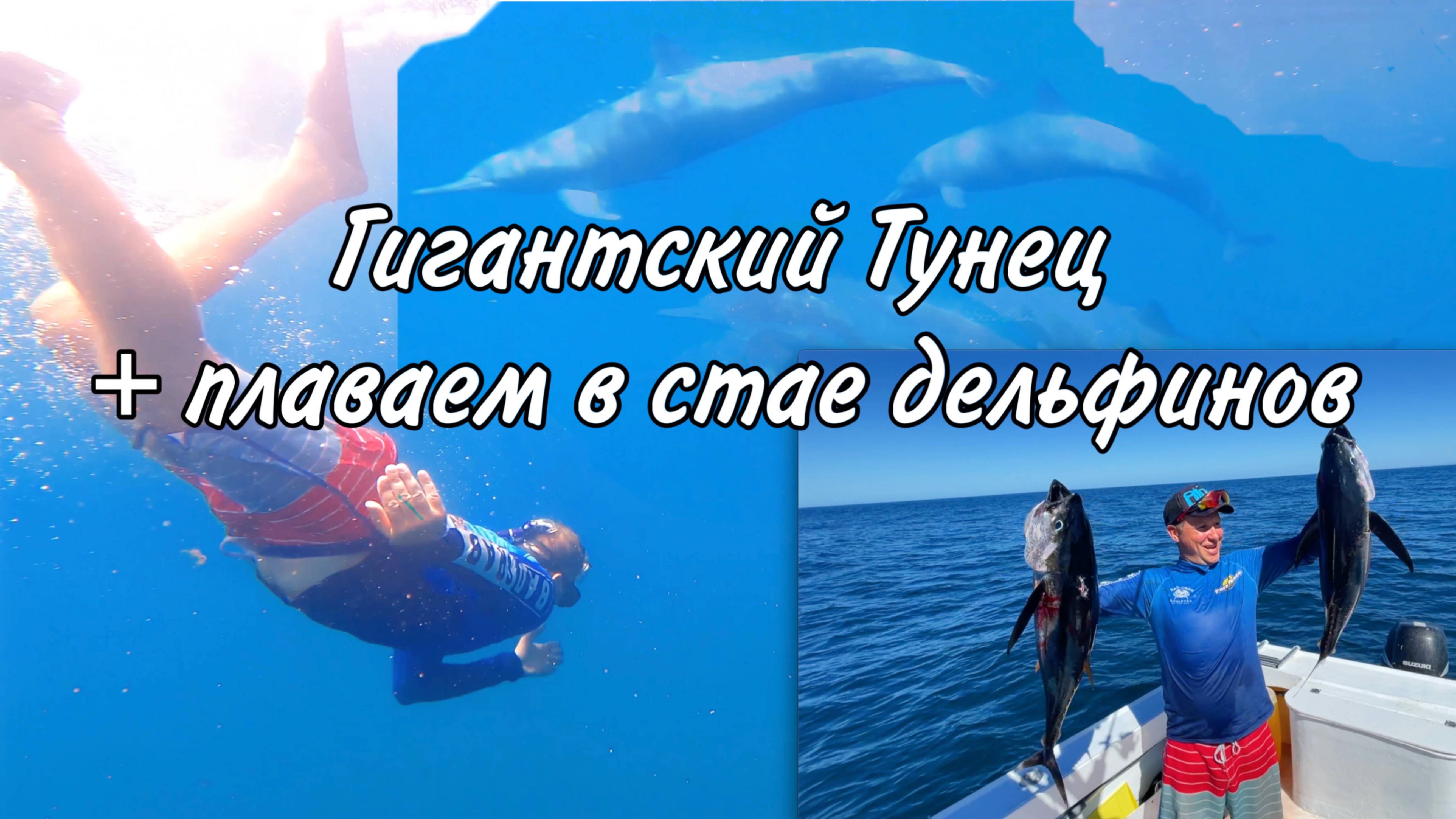 МЫ В СТАЕ ДЕЛЬФИНОВ 🐬🐬🐬 | ОНИ ВЕЗДЕ | НЕРЕАЛЬНАЯ КОСТА РИКА