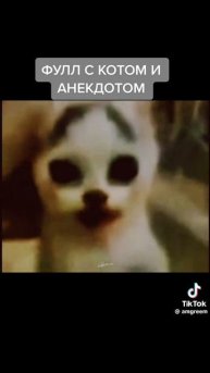 анекдот со сталкера