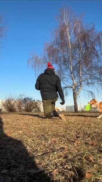 БК Фокс - связка трюков - барьер и вольт