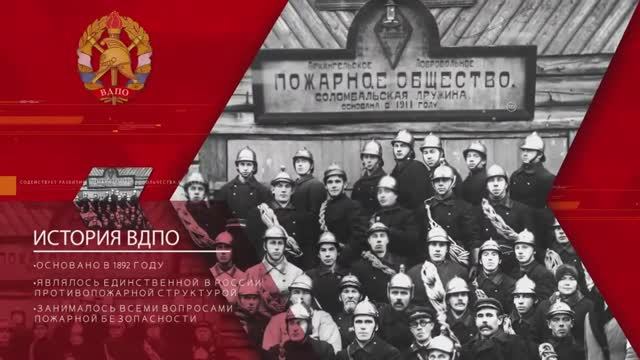 История ВДПО