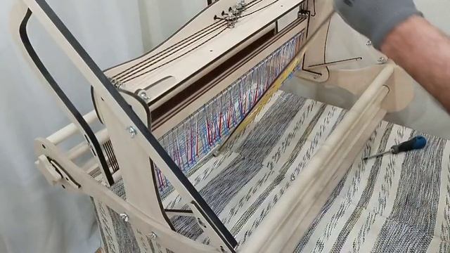 petal_20250123_184355.mp4