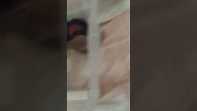 Мой туалетный столик/в другом городе/косметика/которую привезла)/😁😘