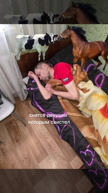 #мажор на связи