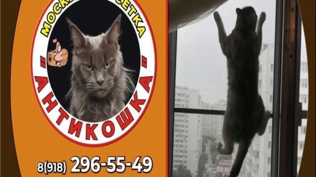 Москитная сетка Антикошка г. Краснодар