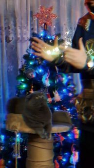 #КиракосянВладислав