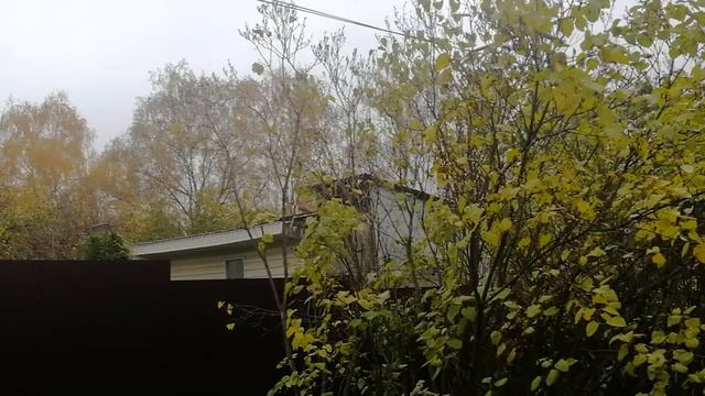 22 октября 2022 г Красная сплошная.